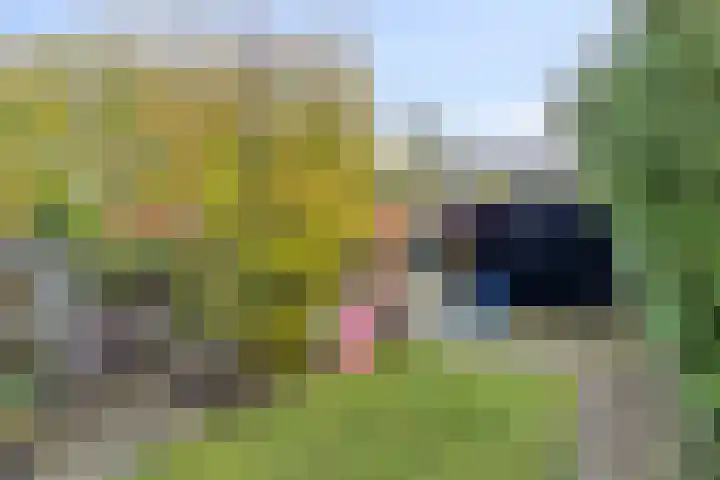 Eppinge 2 Annerveenschekanaal thumbnail 36