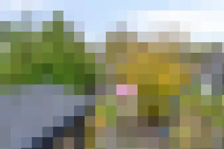 Eppinge 2 Annerveenschekanaal thumbnail 37