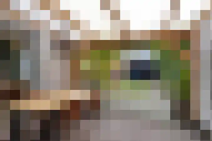 Eppinge 2 Annerveenschekanaal thumbnail 39