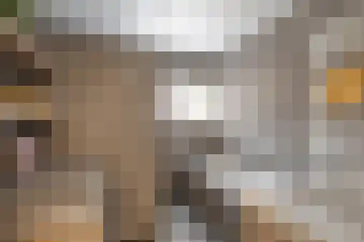 Eppinge 2 Annerveenschekanaal thumbnail 4