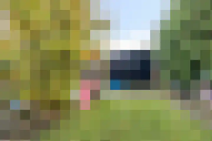 Eppinge 2 Annerveenschekanaal thumbnail 40