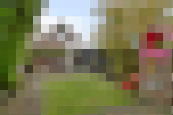 Eppinge 2 Annerveenschekanaal thumbnail 41