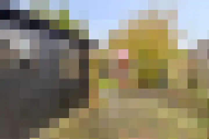 Eppinge 2 Annerveenschekanaal thumbnail 44