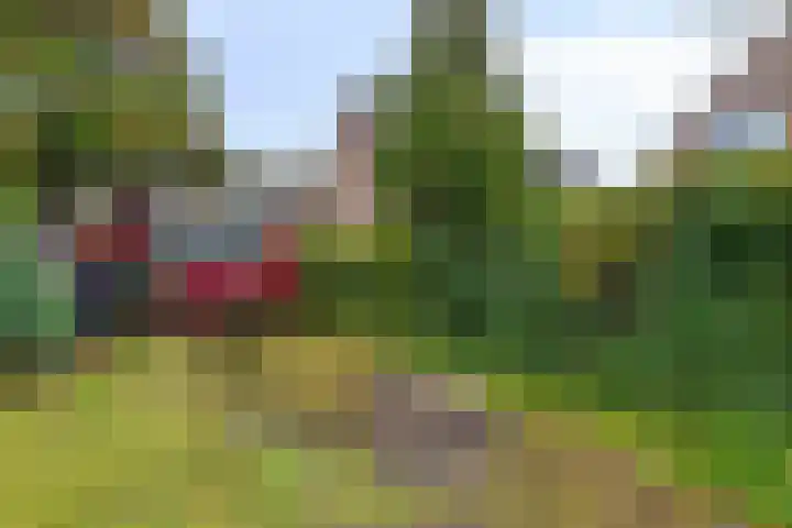 Eppinge 2 Annerveenschekanaal thumbnail 45