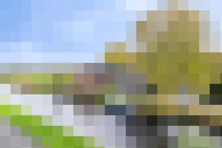Eppinge 2 Annerveenschekanaal thumbnail 46