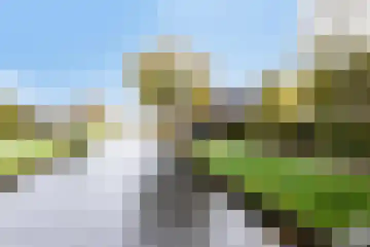 Eppinge 2 Annerveenschekanaal thumbnail 47