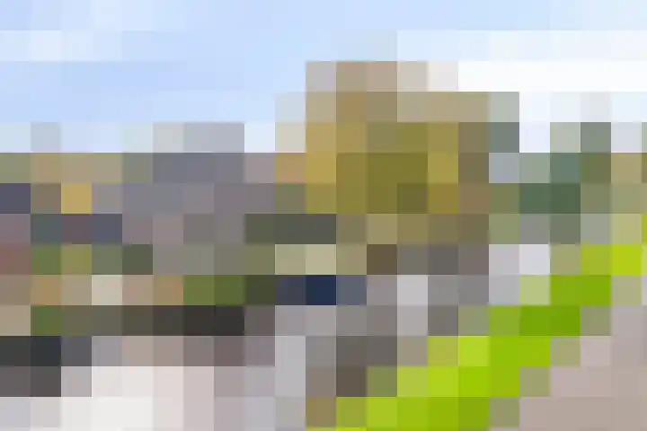 Eppinge 2 Annerveenschekanaal thumbnail 49