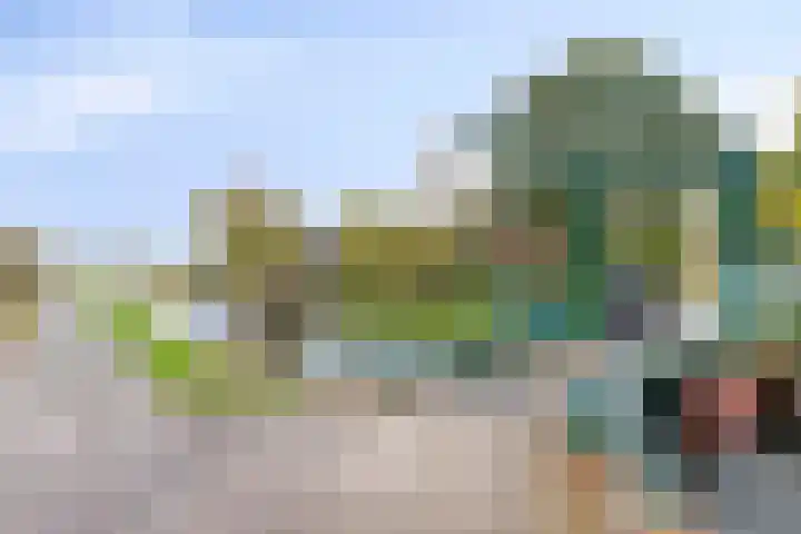 Eppinge 2 Annerveenschekanaal thumbnail 51