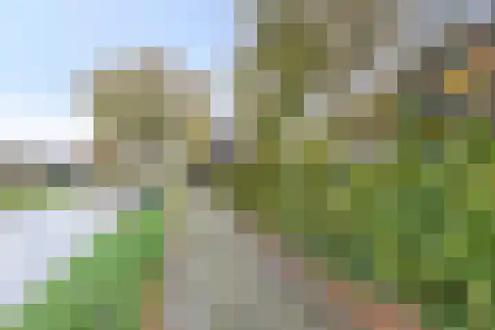 Eppinge 2 Annerveenschekanaal thumbnail 52