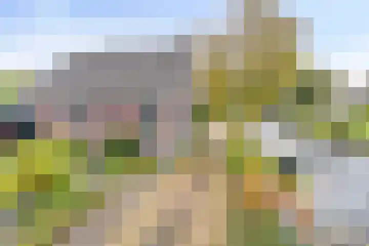 Eppinge 2 Annerveenschekanaal thumbnail 53