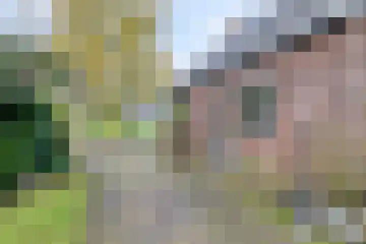 Eppinge 2 Annerveenschekanaal thumbnail 54
