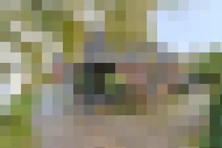 Eppinge 2 Annerveenschekanaal thumbnail 55