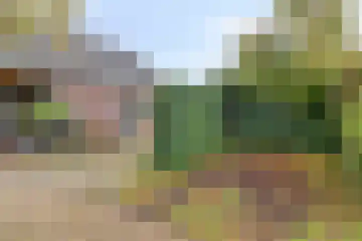 Eppinge 2 Annerveenschekanaal thumbnail 56