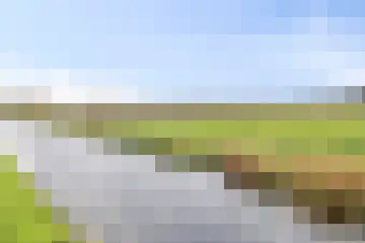 Eppinge 2 Annerveenschekanaal thumbnail 58