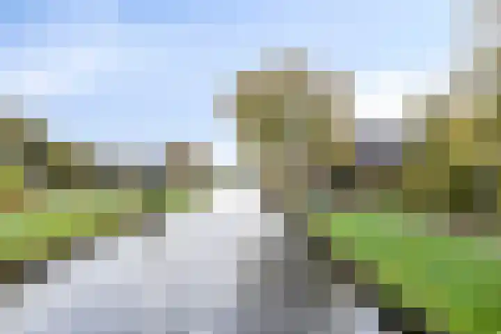 Eppinge 2 Annerveenschekanaal thumbnail 60