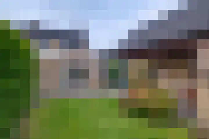 Epserenk 1 Epse thumbnail 16
