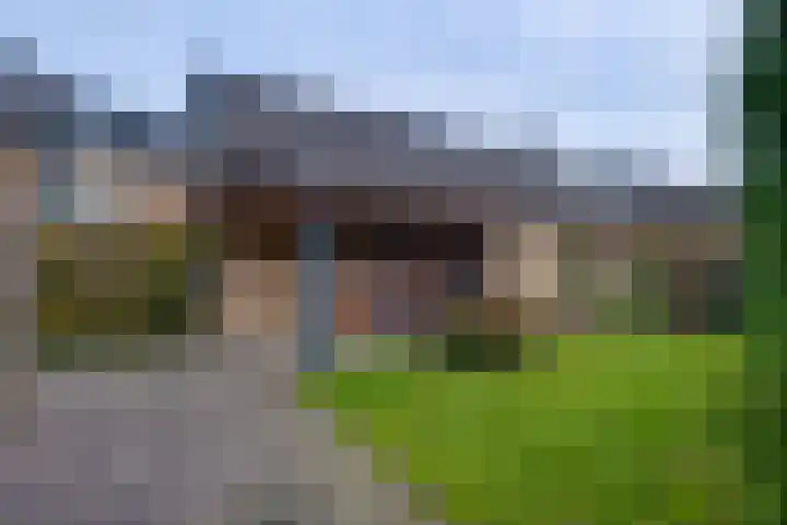 Epserenk 1 Epse foto 2