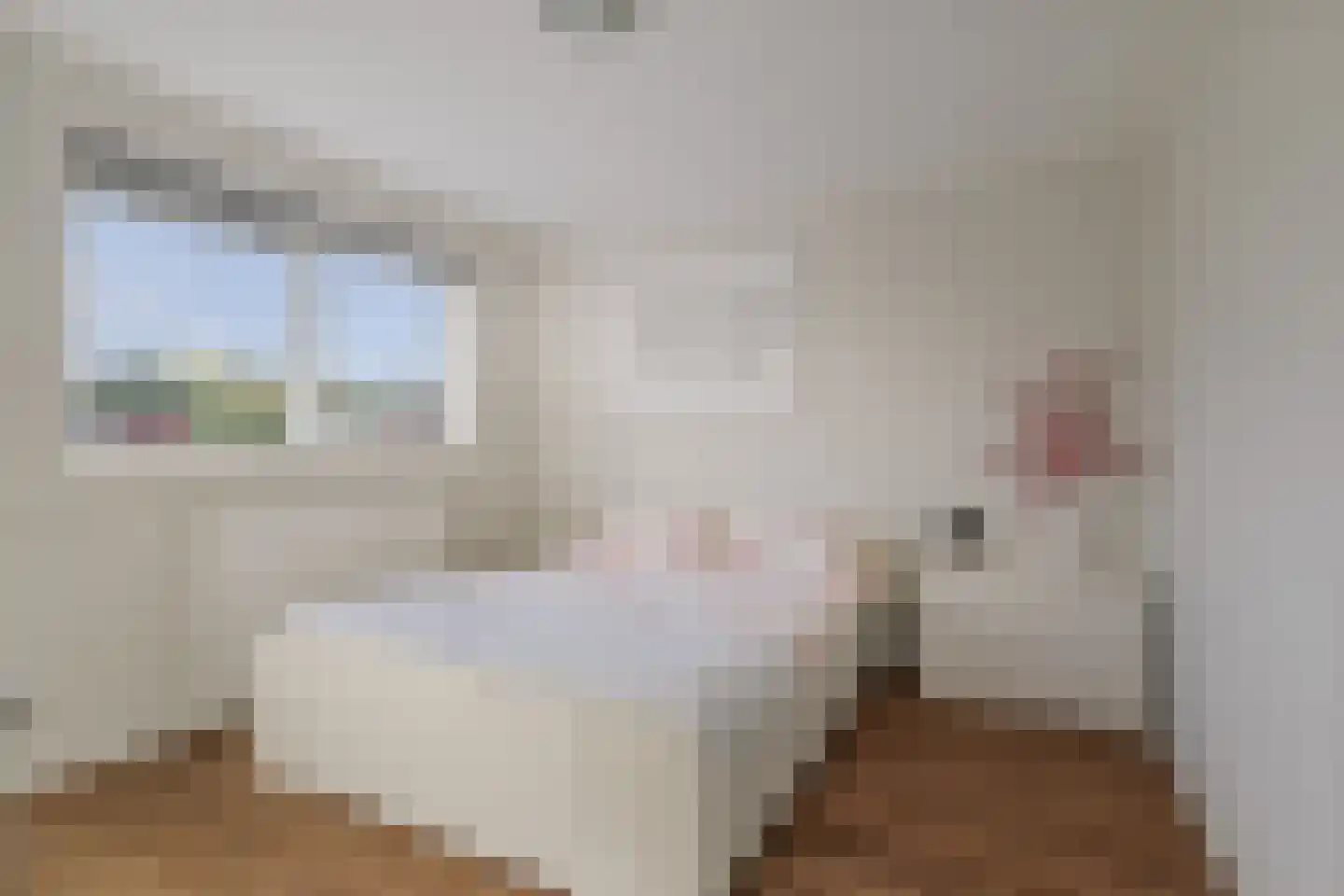 Epserenk 43 Epse thumbnail 19