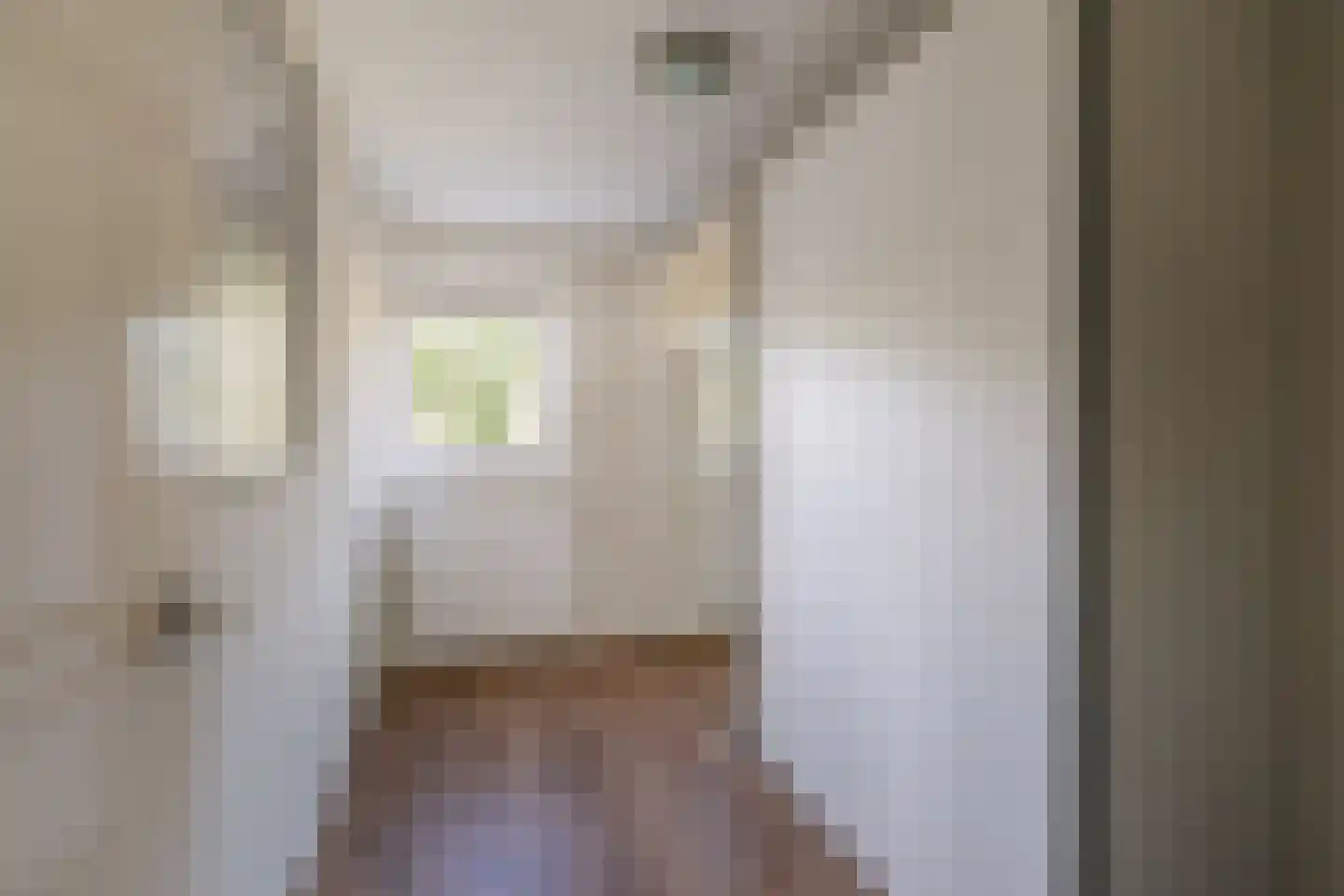 Epserenk 43 Epse thumbnail 21