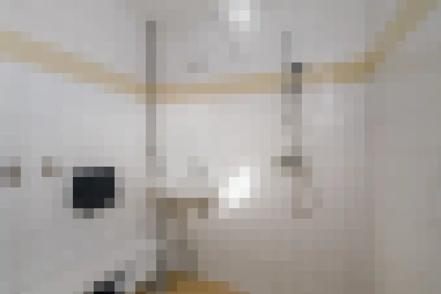 Epserenk 43 Epse thumbnail 22