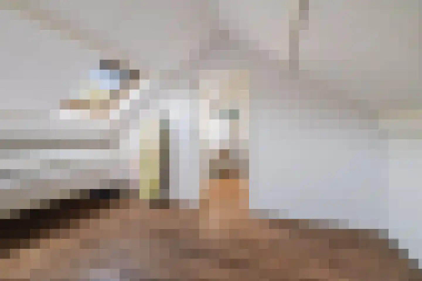 Epserenk 43 Epse thumbnail 26