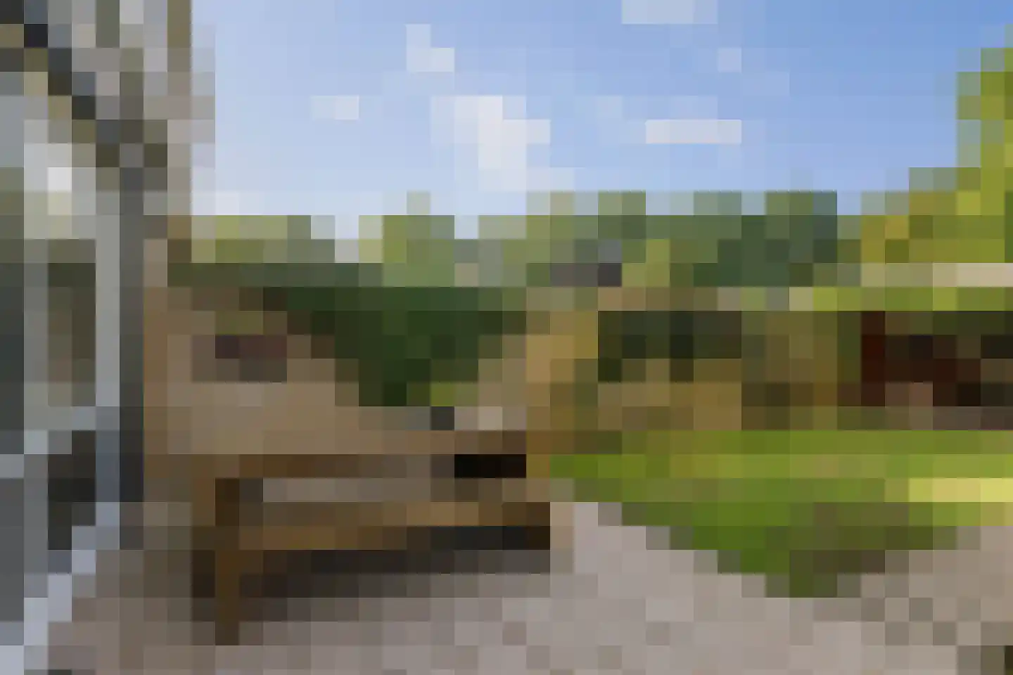 Epserenk 43 Epse thumbnail 27