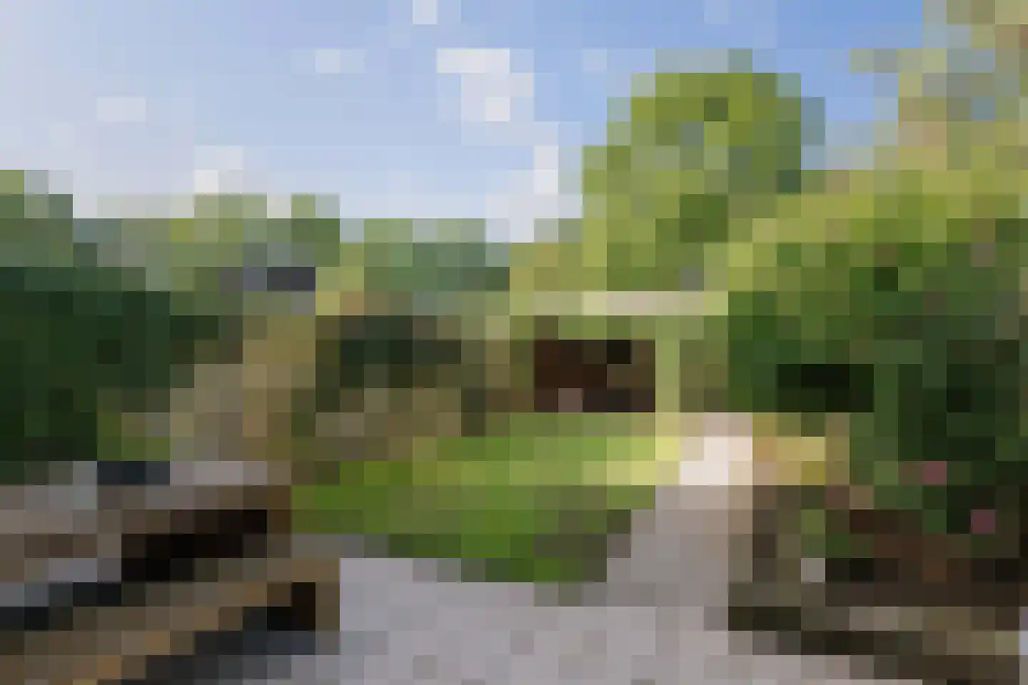 Epserenk 43 Epse thumbnail 28