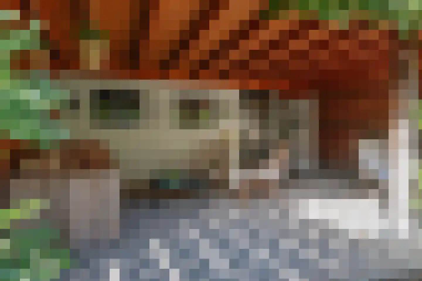 Epserenk 43 Epse thumbnail 29