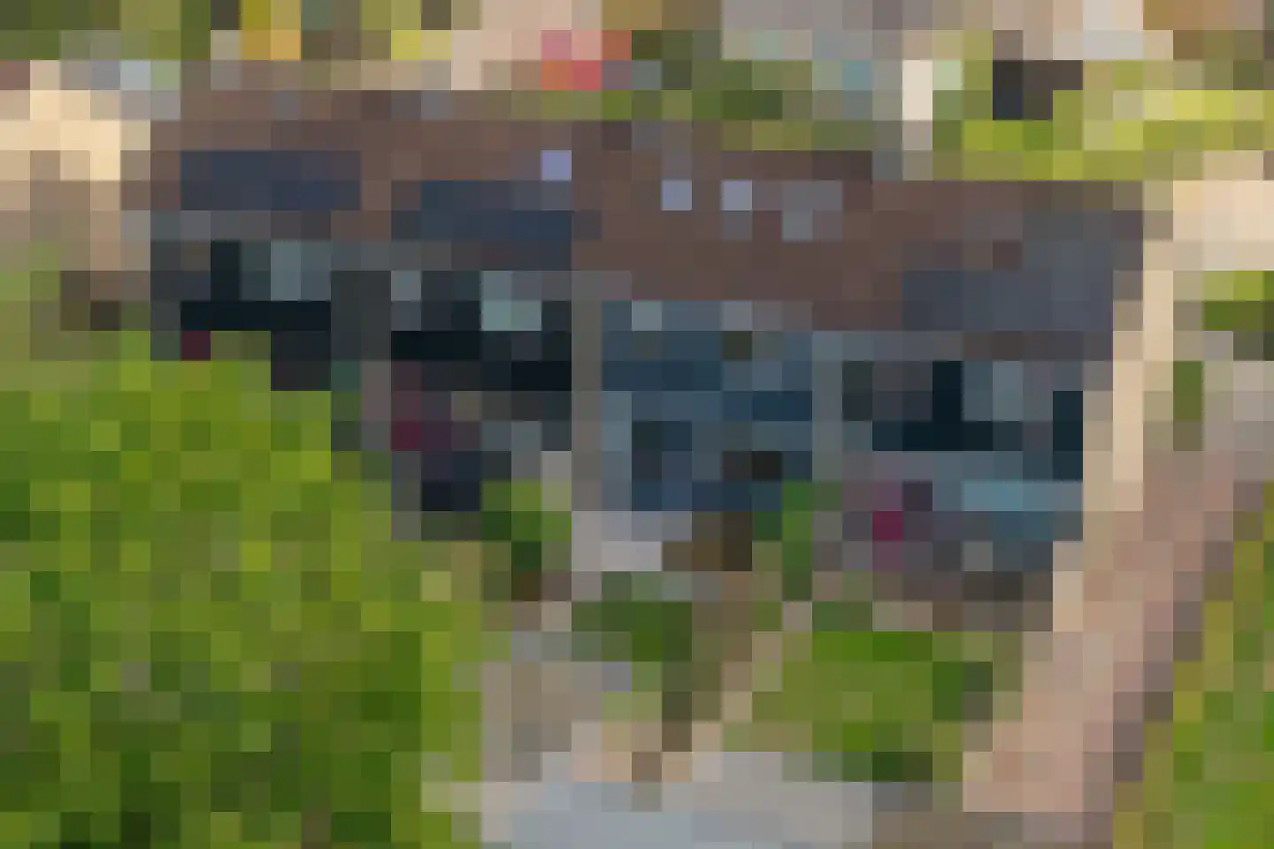 Epserenk 43 Epse thumbnail 33
