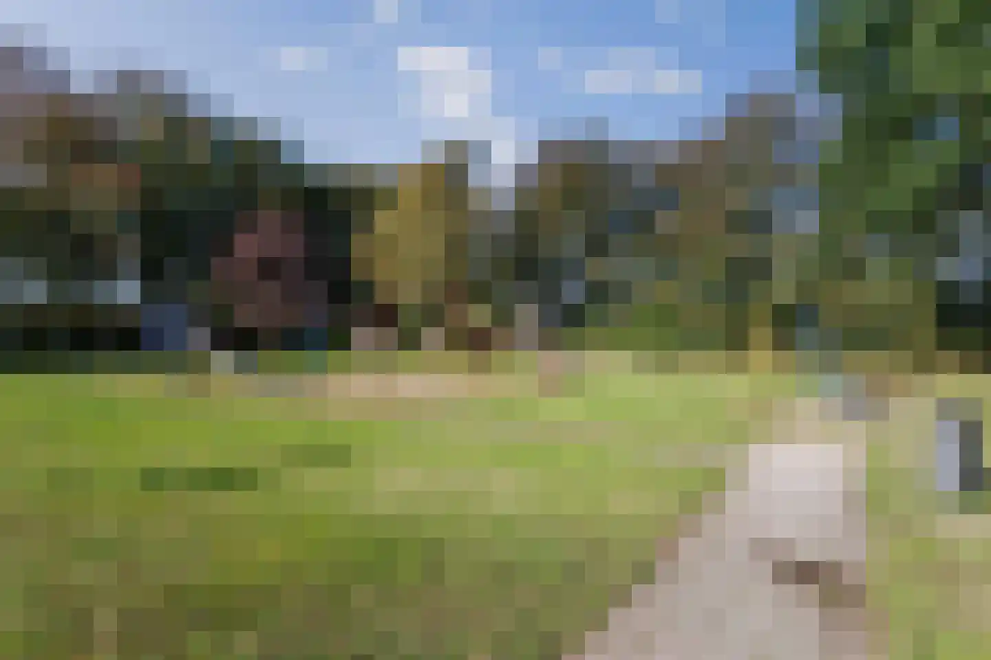 Epserenk 43 Epse thumbnail 37