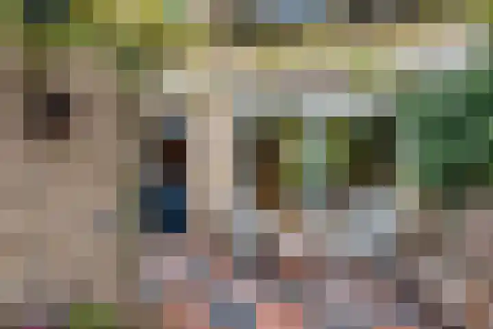 Epserenk 9 Epse thumbnail 17