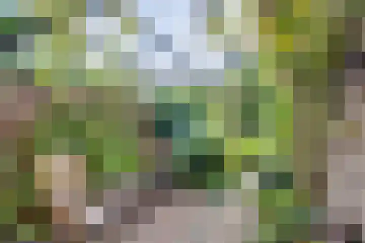 Epserenk 9 Epse thumbnail 20