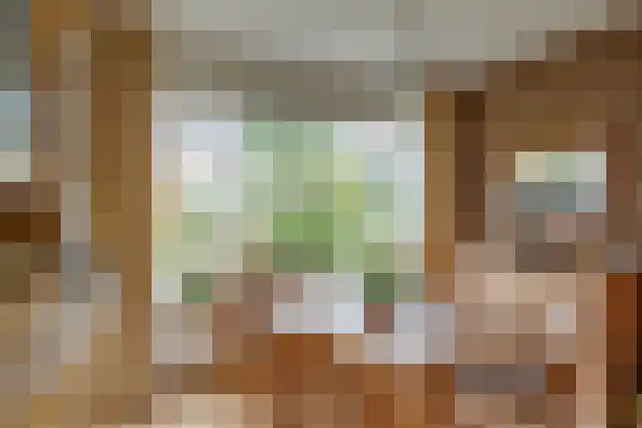 Epserenk 9 Epse thumbnail 6