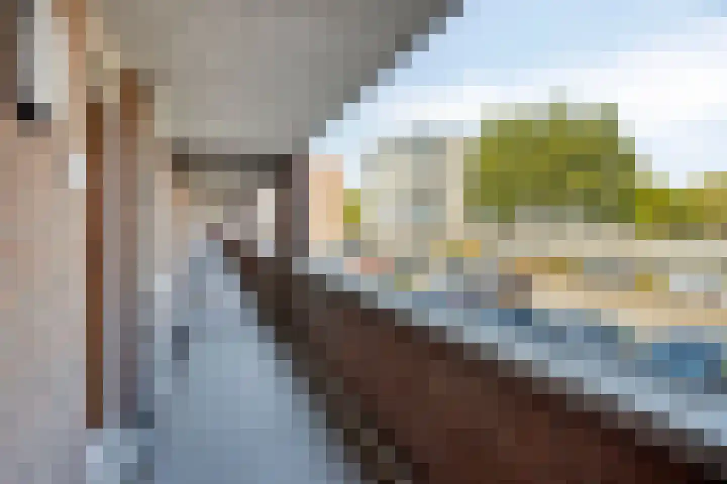 Erasmusdomein 12 A Maastricht thumbnail 7