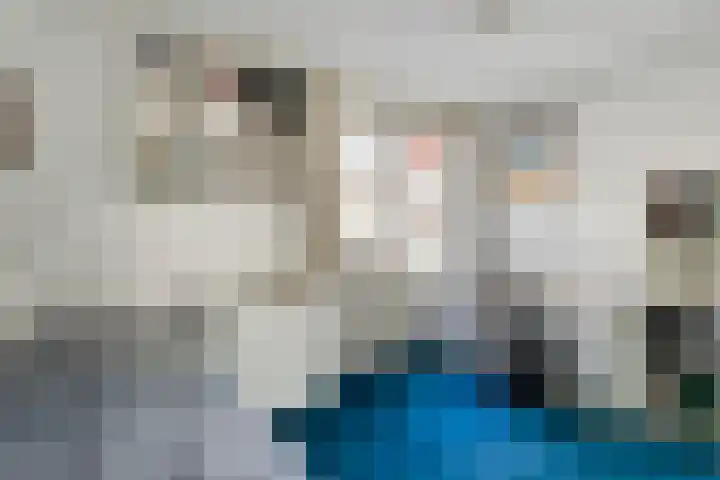 Erasmusdomein 13 Maastricht thumbnail 14
