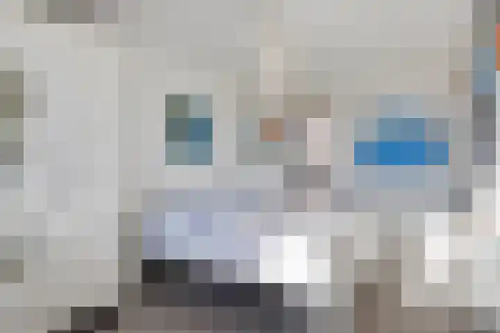 Erasmusdomein 13 Maastricht thumbnail 18
