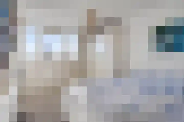 Erasmusdomein 13 Maastricht thumbnail 19