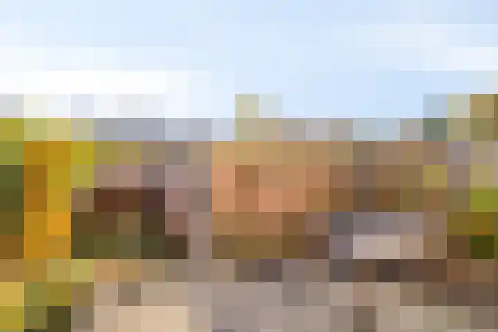 Erasmusdomein 13 Maastricht thumbnail 21