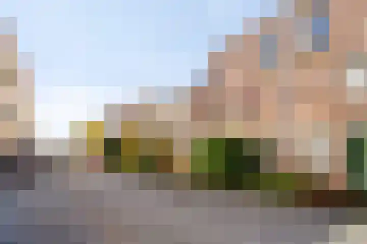 Erasmusdomein 13 Maastricht thumbnail 28