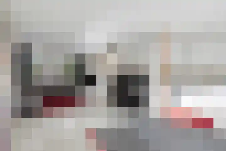 Erasmusdomein 13 Maastricht thumbnail 5