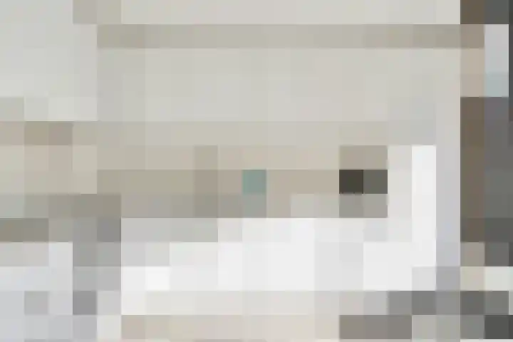 Erasmusdomein 13 Maastricht thumbnail 6