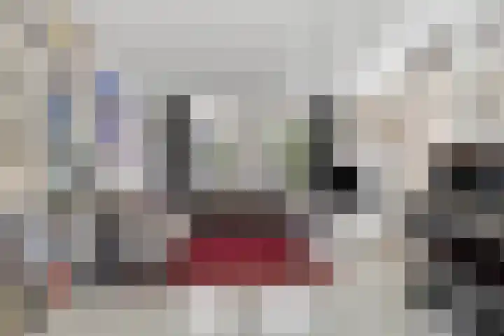 Erasmusdomein 13 Maastricht thumbnail 8