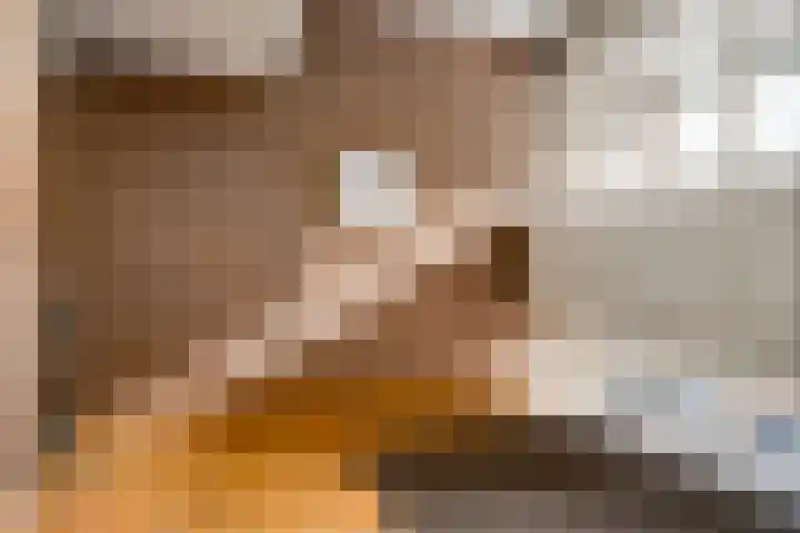 Erasmusdomein 16 D Maastricht thumbnail 18
