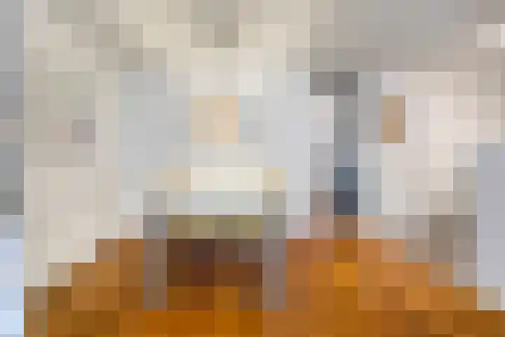 Erasmusdomein 16 D Maastricht thumbnail 5