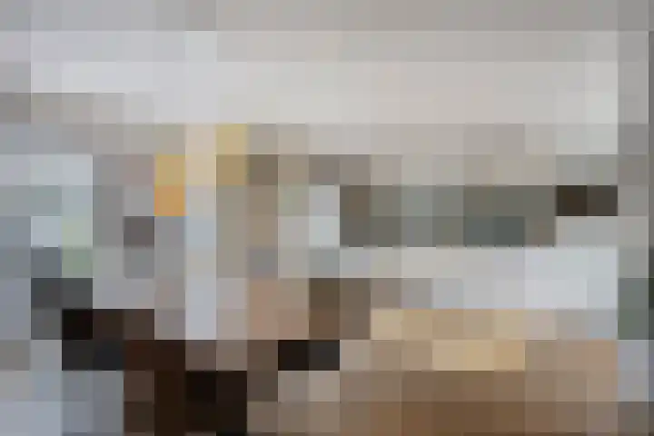 Erasmusdomein 17 Maastricht thumbnail 11