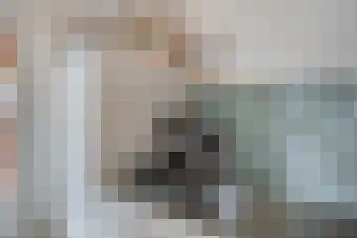 Erasmusdomein 17 Maastricht thumbnail 13