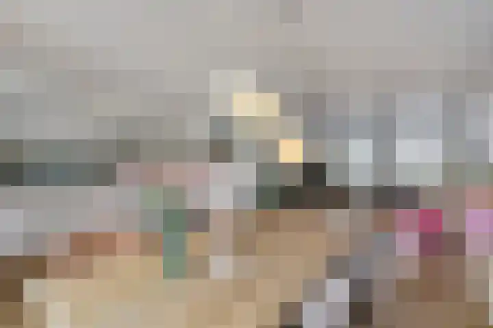 Erasmusdomein 17 Maastricht thumbnail 15