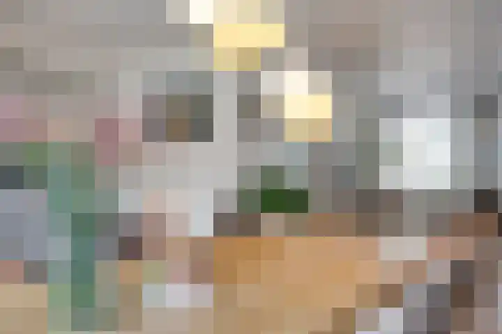 Erasmusdomein 17 Maastricht thumbnail 16