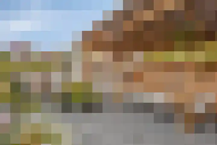Erasmusdomein 17 Maastricht thumbnail 17