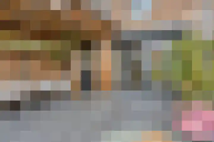 Erasmusdomein 17 Maastricht thumbnail 18